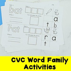 CVC Word Family Activities and Lessons